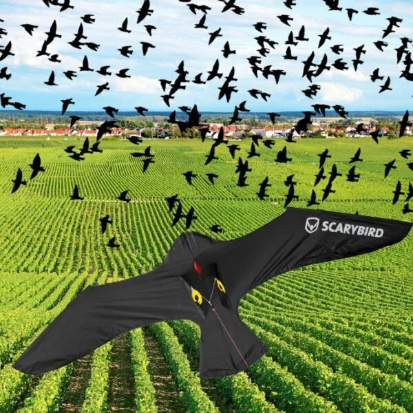 Ιπτάμενος Απωθητικός Αετός για Πουλιά Scarybird Kite Complete Set